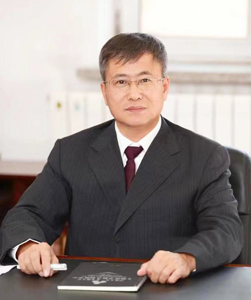 Chen Xuesi, Academician/Researcher